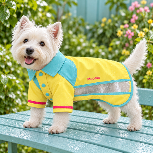 Mepato Lemon Walk Shirt Raincoat on-dog fit view